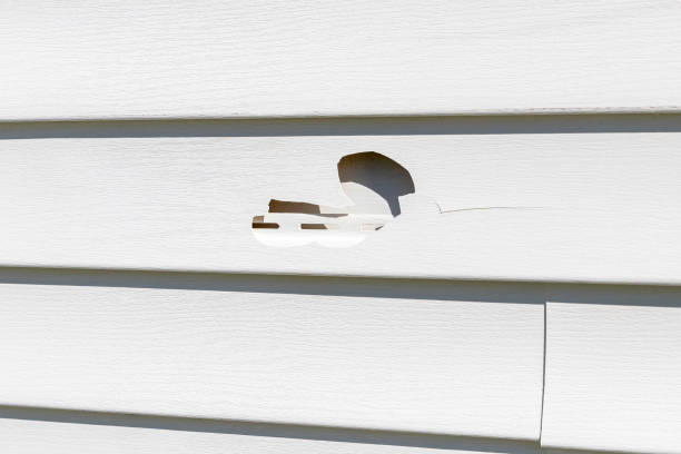 How To Choose The Right Materials for Your Siding Installation in 'Pacheco, CA