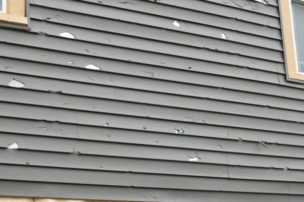 Custom Trim and Detailing for Siding in Pacheco, CA